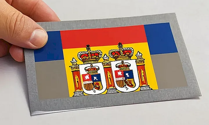 El folleto es un libro oficial amarillento con 320 páginas y una pasta de color gris claro