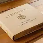 Cómo obtener un asesor ciudadania española: guía práctica y consejos útiles
