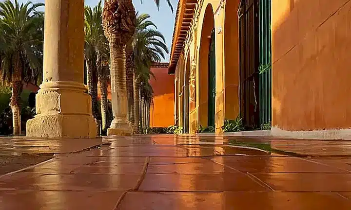 El lienzo presenta una calzada de concreto gris bajo un sol poniente que provoca un ambiente cálido y acogedor