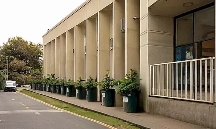 Un edificio gubernamental medio con una fachada ligeramente hundida y decoración sencilla rodeado de calles concurridas