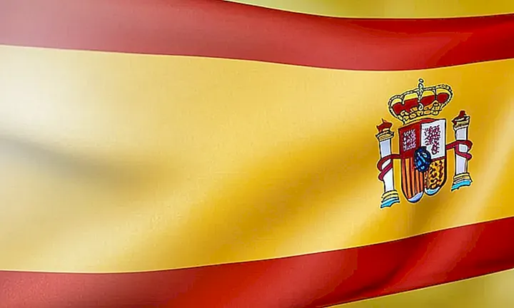 En la página web, el emblema de España cuelga suavemente sobre un fondo desvaído con una nota que explica los requisitos para lograr la ciudadanía española
