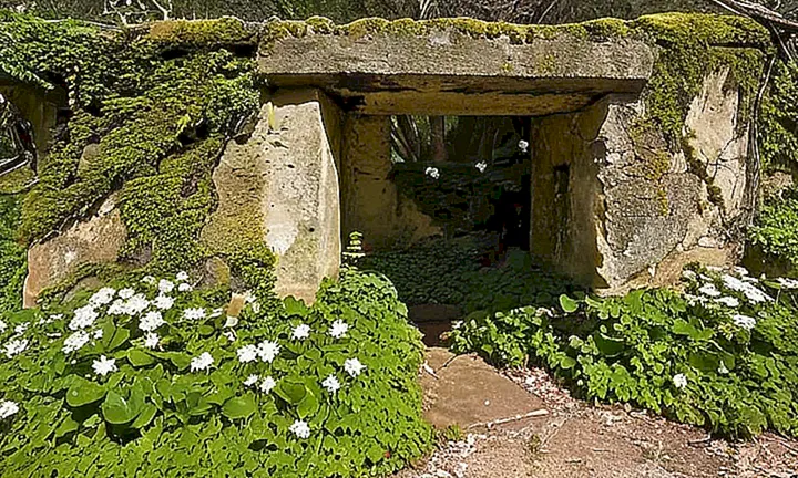 Una vieja muralla de piedra y un portón decrépito están rodeados por hierbas venenosas, una estructura lejana está cubierta por musgo y líquenes