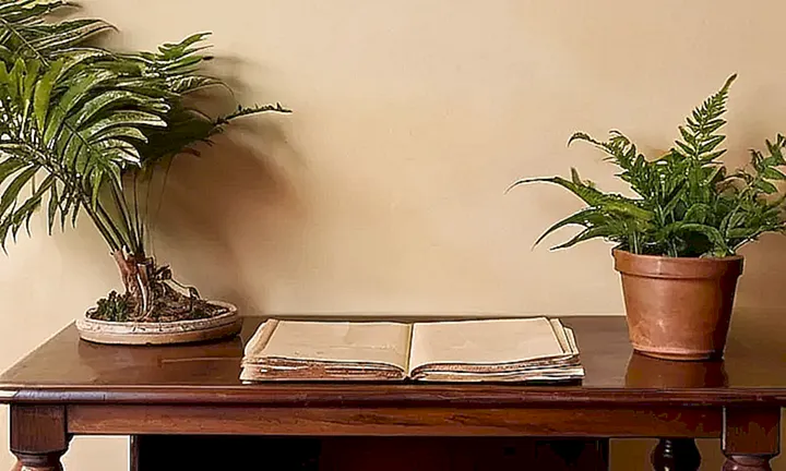 La habitación es un espacio acogedor con muebles de madera oscura y detalles ornamentales españoles, pero también incluye objetos que sugieren una tarea o documento importante relacionado con la solicitud de ciudadanía