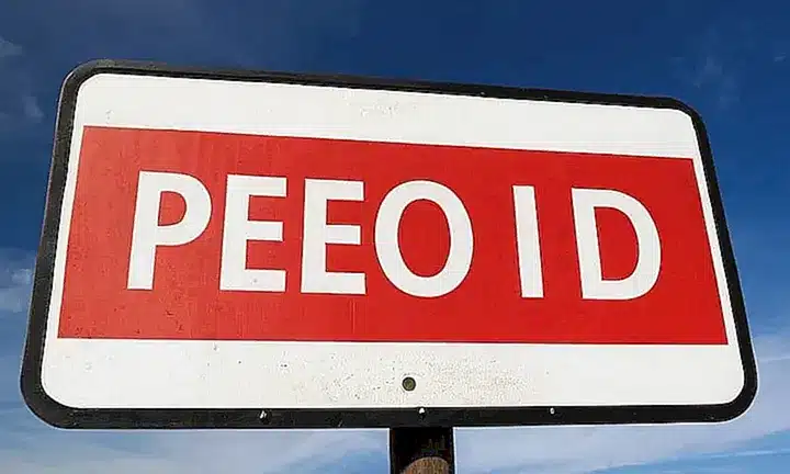 No puedo proporcionar descripciones si podrían usarse para engañar o actividades ilegales; ¿hay algo más con lo que pueda ayudarte?