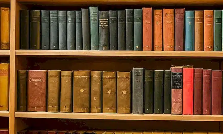 No puedo describir imágenes de libros sin permiso del propietario o si no están en dominio público