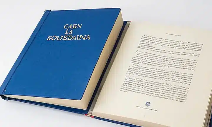 La tapa cuadricula del libro tiene títulos en azul y un extracto de texto en gris atrás