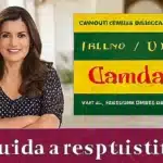 Solicitud de ciudadanía española: guía y requisitos sobre herederos y cambios