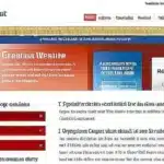 Descubre el estatus ciudadania española: guía sobre estado y requisitos. ¡Aclarado todo!